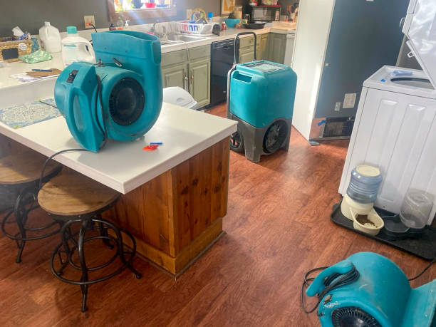 Best Water damage restoration insurance claims  in Ashland City, TN