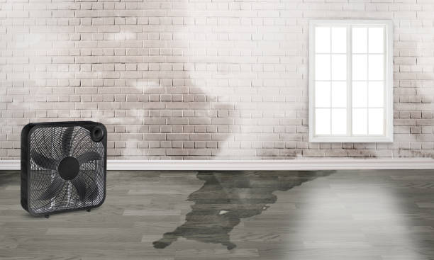 Best Commercial water damage restoration  in Ashland City, TN